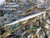  ??  ?? Use in weed – the Lunker City Slug-Go