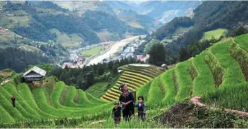  ?? — AFP ?? Lucrative venture: A woman and her children at the terraced rice fields of northern Vietnam. Farmers have reported a 10% to 15% decrease in cost and an 8% to 10% increase in profit on average.