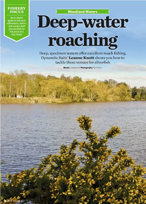 Woodland Waters PressReader