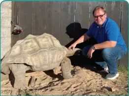  ?? Photos courtesy of TOM RUSH ?? Tom Rush interacts with one of his pet tortoises. He says they make docile, friendly pets that like to have their necks scratched.