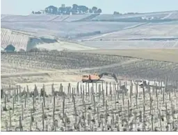  ?? ?? Obras del parque eólico El Barroso en el viñedo histórico de Jerez.