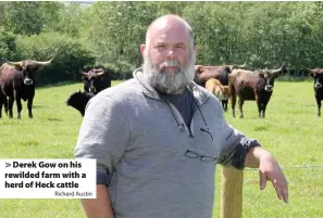  ?? Richard Austin ?? > Derek Gow on his rewilded farm with a herd of Heck cattle