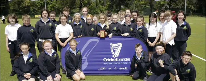  ??  ?? Above: Kilcoole NS students at the Cricket Leinster schools taster at Templecarr­ig School Greystones. Right: Students from St Laurences with Aideen Rice, President Cricket Ireland. Kevin Murphy, Seán Griffin, Patrick O’Boyle, Kailyn McHugo. Front: Luke...