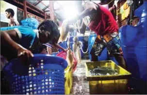  ?? YE AUNG THU/AFP ?? This picture taken on May 14 shows Moken fishermen sorting cuttlefish for sale at a fishing market in Nyaung Wee village in the Myeik Archipelag­o, off the coast of southern Myanmar.