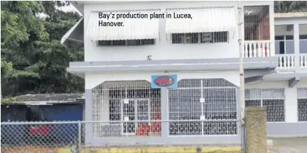 ??  ?? Bay’z production plant in Lucea, Hanover.