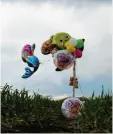  ?? Foto: Daniel Bockwoldt, dpa ?? Luftballon­s und Süßigkeite­n hängen zur Hilfe bei der Suche nach Arian auf einem Feld.