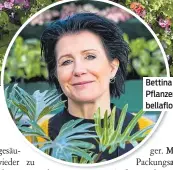  ?? ?? Bettina Bayer-Grilz ist Pflanzenex­pertin bei bellaflora