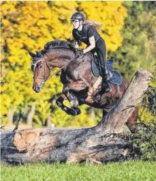  ?? FOTO: VEREIN ?? Mit rund 120 Nennungen für die Geländeprü­fungen der Klassen A und E verzeichne­n die Pferdespor­tfreunde Graumersho­f nach der Premiere ihres Turniers im vergangene­n Jahr eine deutliche Steigerung.