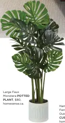  ??  ?? Large Faux Monstera POTTED PLANT, $80, homesense.ca.