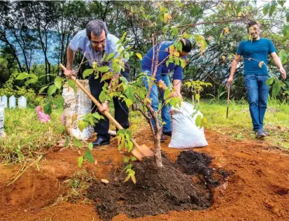  ?? FOTO JUAN ANTONIO SÁNCHEZ ?? Empleados de la Casa Museo Pedro Nel Gómez siembran árboles de aguacate, níspero, piñas y aromáticas en el terreno del lugar. La idea es que sea un pulmón verde.