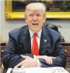  ?? FOTO: DPA ?? US-Präsident Donald Trump im Weißen Haus: Die Steuerrefo­rm wäre der größte Erfolg seiner bisherigen Amtszeit.