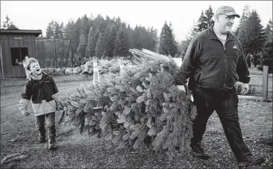  ?? PAULA BRONSTEIN/AP ?? Tim Daley and son Jacob, 9, carry their freshly cut Christmas tree at Lee farms Nov. 21 in Tualatin, Oregon.