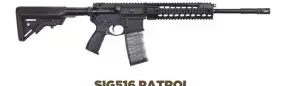  ??  ?? sig516 PatroL