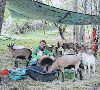  ?? FOTO: SABINE FELKER ?? Jutta Müller mit ihren 21 Ziegen am Gauger. Dass sie hier ihre Tiere weiden lassen kann und gleichzeit­ig etwas Gutes für das Naherholun­gsgebiet tut, freut sie.