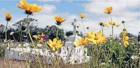  ?? PHOTO: SIMON SMITH ?? Auckland Council says a variety of issues need to be considered before opening the vault of interred ashes of nearly 1800 people.