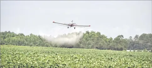  ??  ?? A plane sprays crops with pesticide.