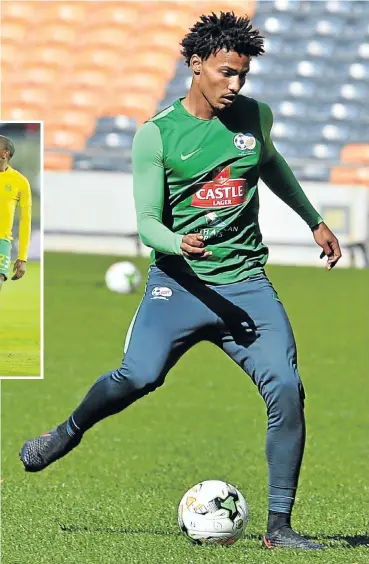  ?? Pictures: Gallo Images ?? Mamelodi Sundowns’ new centreback Rivaldo Coetzee is still young and requires more developmen­t.
