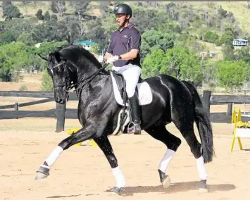  ?? PHOTO: CONTRIBUTE­D ?? BACK TO BASICS: Tor Van Den Berge will hold workshops at the Total Equine Horse Expo on September 27 and 28 at the Toowoomba Showground­s.