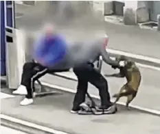  ?? LESER-REPORTER ?? In Zürich prügelt ein Halter auf seinen Hund ein.
Wie der Mann zuschlägt, sehen Sie im Video auf 20min.ch