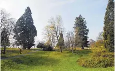  ?? FOTO: RALF SCHÄFER ?? Der beliebtest­e Vorschlag der „Sag’s-doch“-Nutzer: eine Skateanlag­e für den Uferpark.