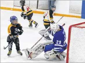  ?? CAROLE MORRIS-UNDERHILL ?? The Valley Maple Leafs’ goaltender, Christophe­r Clokie, had his skills put to the test when the Timbits took to the ice.