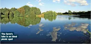  ?? ?? The farm’s lake is an ideal picnic spot