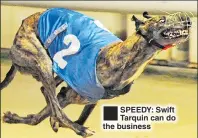  ??  ?? SPEEDY: Swift Tarquin can do the business