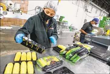  ?? Brian van der Brug Los Angeles Times ?? AGRICULTUR­AL workers process sweet corn in Lodi. Community and health leaders question whether COVID-19 vaccines will be equitably shared with California farmworker­s when Blue Shield assumes oversight.