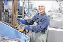  ?? MARK SQUIBB/THE PACKET ?? A worker posing with a fish just prior to the start of processing at Icewater Seafood’s in Arnold’s Cove.