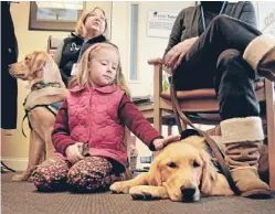  ?? MCT ?? Furry friend: Maili Pieragosti­ni, 6, of Newtown, Connecticu­t, with ‘‘comfort dog’’ Ruthie.