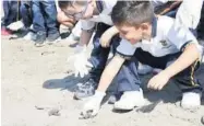  ?? FOTO: EL DEBATE ?? > Niños de excursión liberan tortugas en la playa Ceuta.