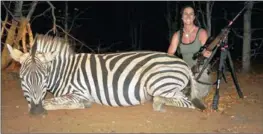  ??  ?? ZEBRA IN THE CROSSHAIRS: Bachman hunts at the Maroi Conservanc­y.