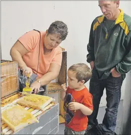  ?? \KIRK STARRATT ?? Grandmothe­r Fern Brydon helps four-year-old Hudson Brydon-Stark of Kentville get a taste of honey straight from the comb while dad Duncan Stark looks on. They were at Foote Family Farm watching honey being extracted as part of Open Farm Day.