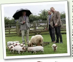  ??  ?? ANIMAL CHARM: Adam Henson with his father, Joe. Left, Prince Charles visits Cotswold Farm Park and meets the pigs