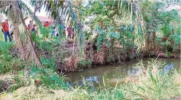  ??  ?? KOLAM ikan terbiar di Kampung Bintang Mas, Tawau.