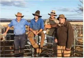  ??  ?? Like many families in the industry, the Kuerschner­s have made wool production an intergener­ational affair. Uncle Terry (far right) still keeps a close eye on nephew Jim (far left) and his sons Sam and Tom (L–R), sixth-generation wool producers at Mitchylie. Their family first took up land in the district in 1874.