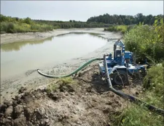  ?? MATHEW MCCARTHY, RECORD STAFF ?? Water is pumped from a pond at a constructi­on site at the end of Dolman Street in Breslau on Monday in preparatio­n of dredging. The pond captures run-off before it can reach the Grand River.