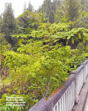  ?? ?? The Mangapurua Track is the only cycling route to the Bridge to Nowhere.