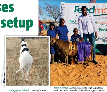  ?? ?? Winning ways... Kamaa Marenga (right), pictured with one of his rams that fetched him a good prize at a recent show.