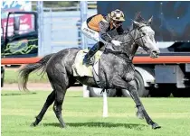  ??  ?? Danzdanzda­nce on his way to winning the Captain Cook Stakes (1600m) at Trentham on Saturday.