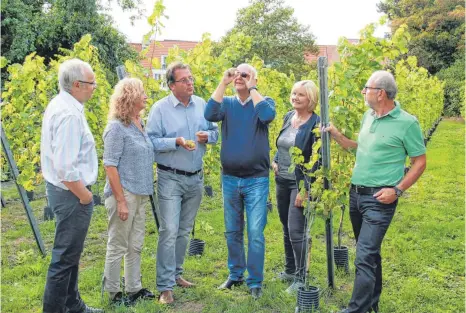  ?? FOTO: JONAS SCHMITT ?? 82 Öchsle messen die Weinbergfr­eunde. Gemessen wird mit einem sogenannte­n Handrefrak­tometer (von links): Gerhard Wirbel, Susanne und Uwe Stürmer, Günter und Ursula Staud, Michael Linse.