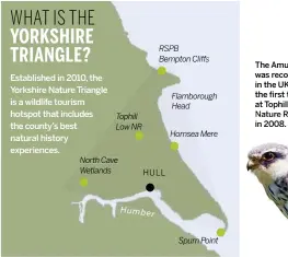  ??  ?? RSPB Bempton Cliffffffs Flamboroug­h Head Tophill Low NR Hornsea Mere North Cave Wetlands HULL Humbe r Spurn Point