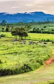  ??  ?? These megaliths are found in some 80 locations scattered across northeaste­rn Laos. Little is known about them, but they were likely made two thousand years ago