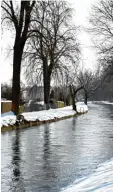  ?? Foto: Silvio Wyszengrad ?? Am Herrenbach sollen zahlreiche Bäume gefällt werden.