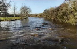  ??  ?? The canal is known as the Mallow-Lombardsto­wn canal even though it does not flow through Lombardsto­wn.