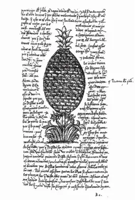  ?? ?? La piña de Gonzalo Fernández de Oviedo, en “Historia general y natural de las indias”, de 1535.