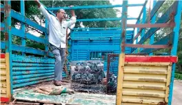  ??  ?? Around 500 pigeons were caught at the Mozamjahi market area and released in the Srisailam forest area.