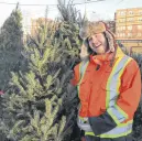  ?? FRAM DINSHAW/ TRURO NEWS ?? Tree technician Peter Dorey shows off a fine Christmas selection on Willow Street in Truro.