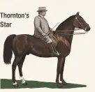  ??  ?? Thornton‘s Star