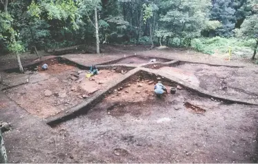  ?? JULIAN RICHARDS / UNIVERSITY OF YORK ?? Human and animal remains were discovered at a Viking cremation cemetery at Heath Wood in Derbyshire, England.